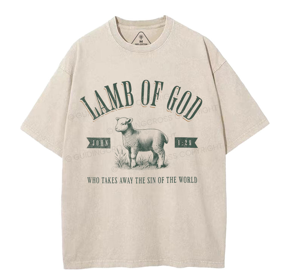 NewSample Christian Washed TShirt  