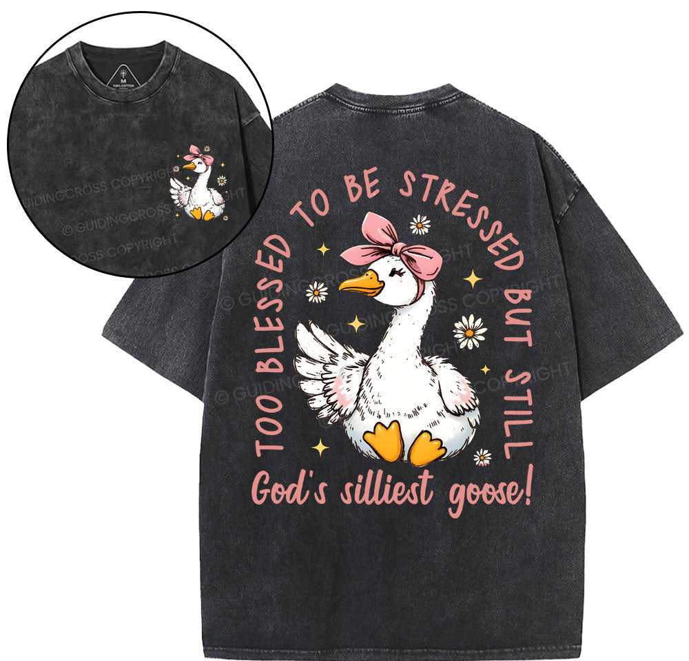 God's Silliest Goose Christian Washed TShirt  