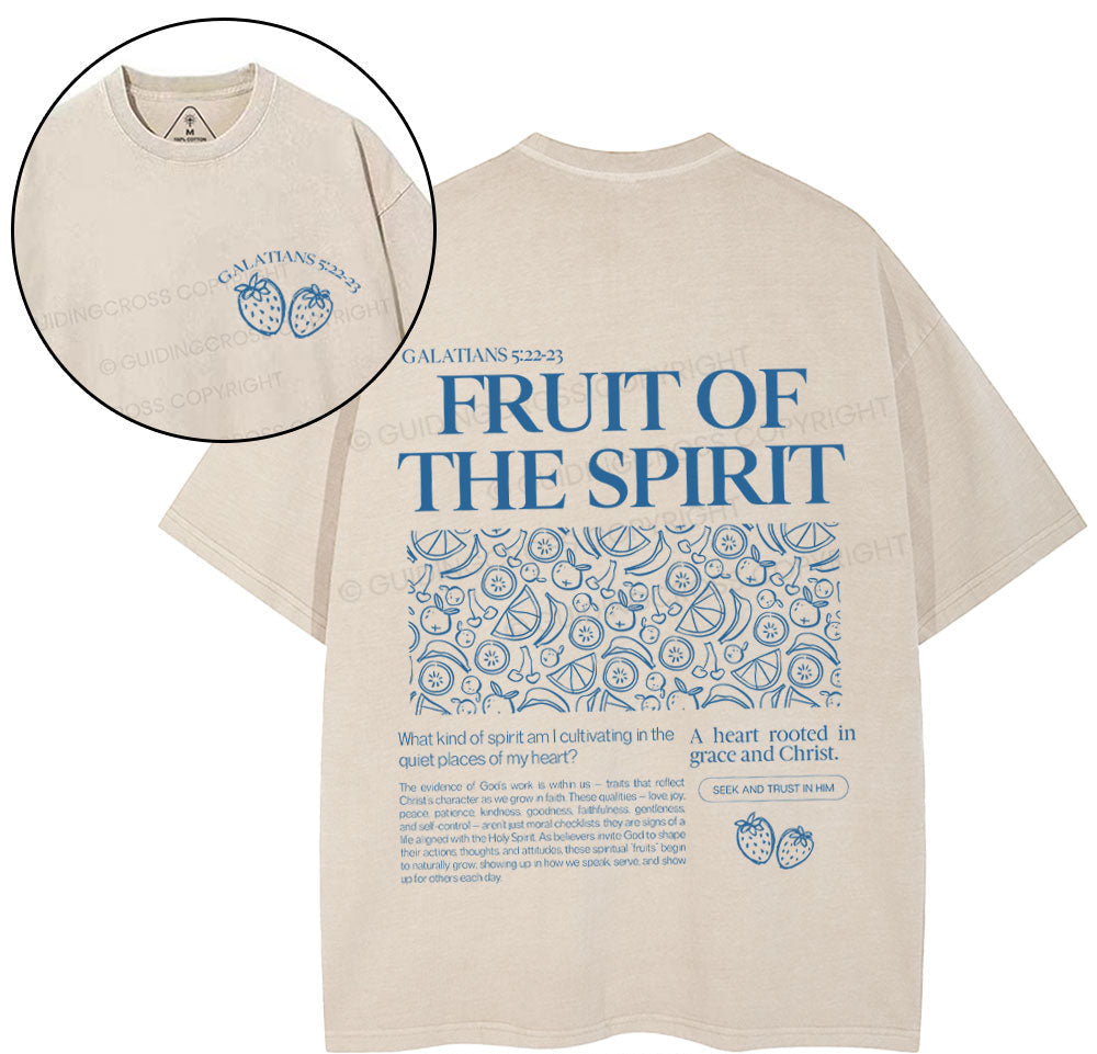 NewSample Christian Washed TShirt  