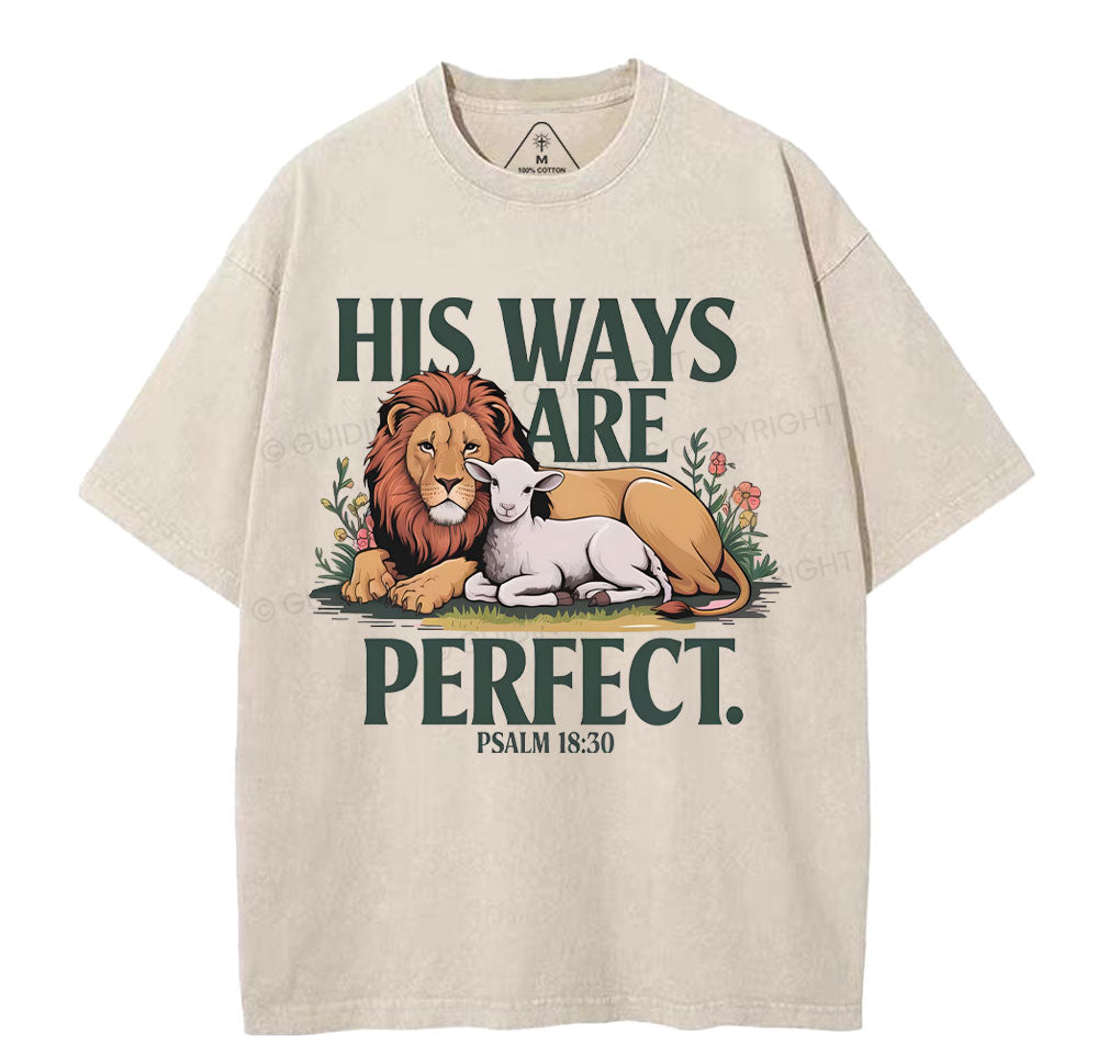 His Ways Are Perfect Chrsitian Washed TShirt  