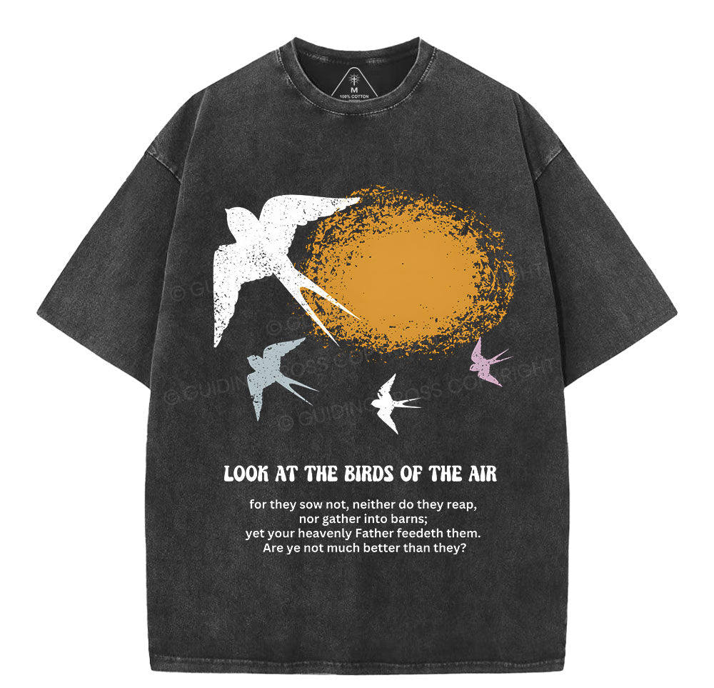 Look At The Birds Of The Air Christian Washed TShirt  