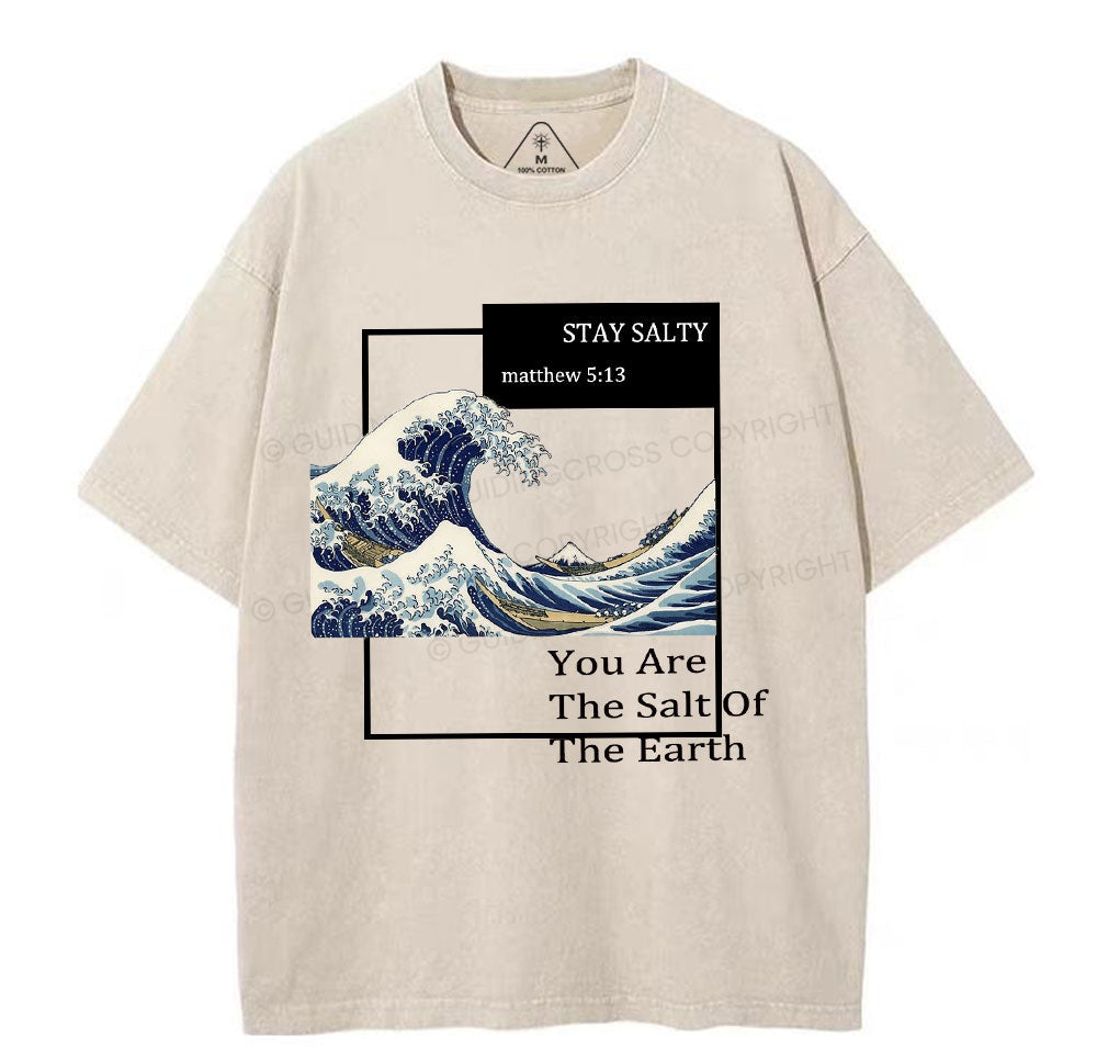 You Are The Salt Of The Earth Christian Washed TShirt  